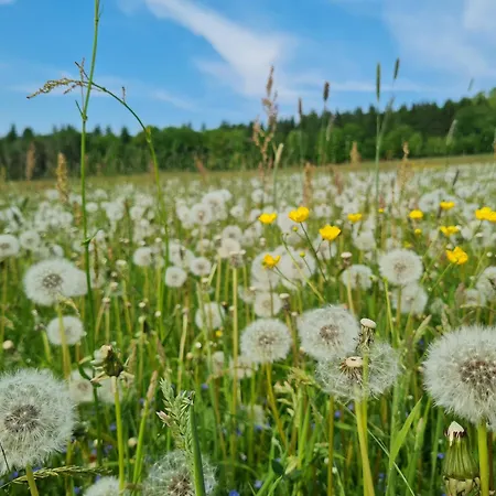 K5-suites In Der Altstadt Appartement