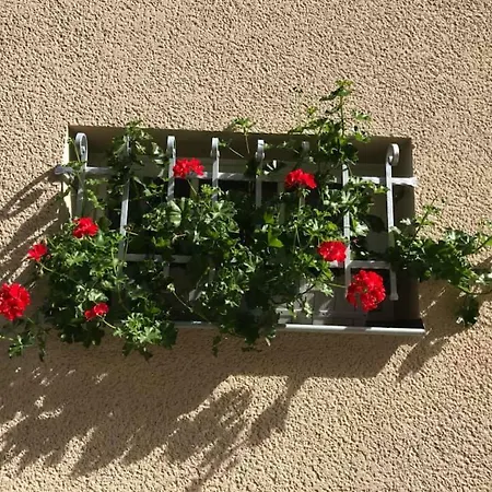 K5-suites In Der Altstadt Appartement